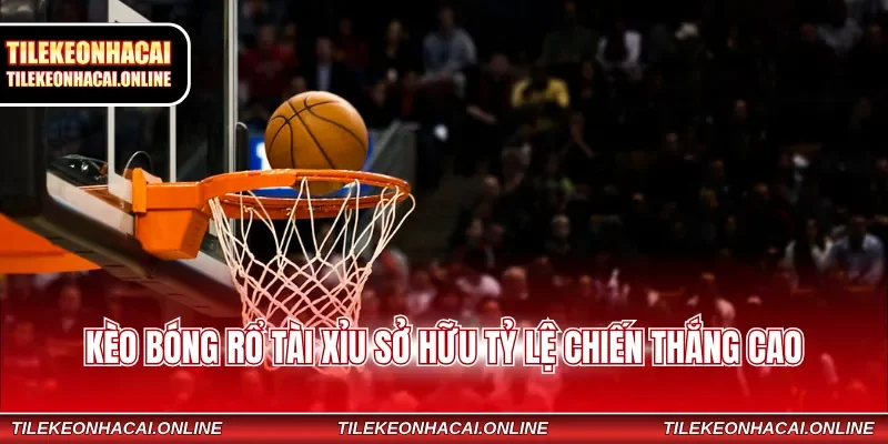 Kèo bóng rổ Tài Xỉu sở hữu tỷ lệ chiến thắng cao
